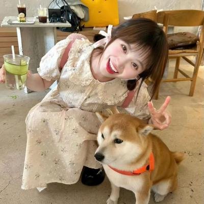 狂姝末路